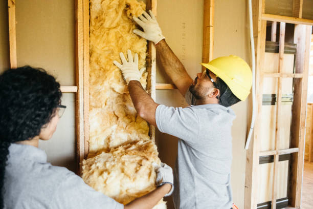 Best Basement Insulation  in Oak Grove, MO